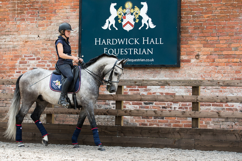 BQ0006I4892-0001 
 Keywords: Equestrian, Hardwick Hall, Hardwick Hall Equestrian, Horse, Shropshire, Stables, UK
